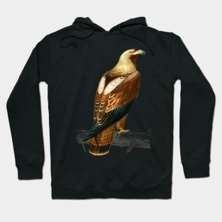 Vintage eastern imperial eagle-animalia Hoodie